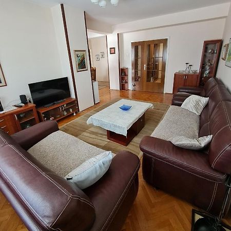 Family Apartment Ivanovic 斯科普里 外观 照片